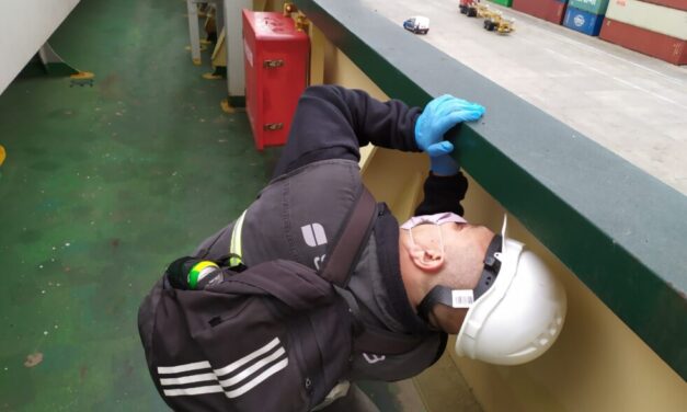 Inspección a buques para prevenir el ingreso de una plaga que ataca árboles y arbustos