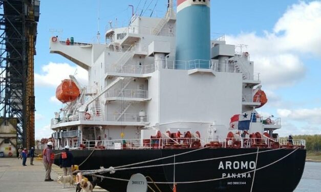 Bajante del río Paraná: barco tuvo que cargar 1500 toneladas menos de trigo para poder salir del puerto