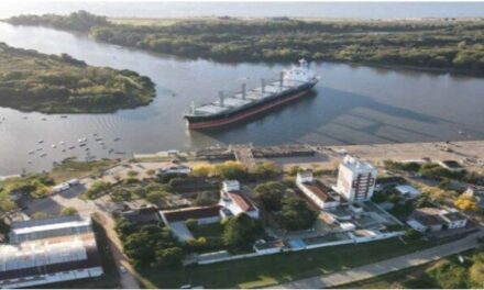 Exportación de madera desde Concepción del Uruguay hacia China