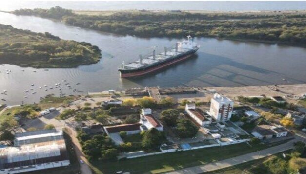 Exportación de madera desde Concepción del Uruguay hacia China