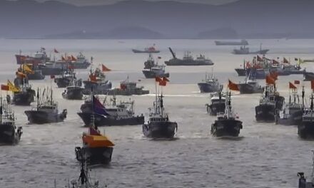 Pesca ilegal: «barcos fantasma» navegaron 600 mil horas con el sistema satelital apagado frente al mar Argentino