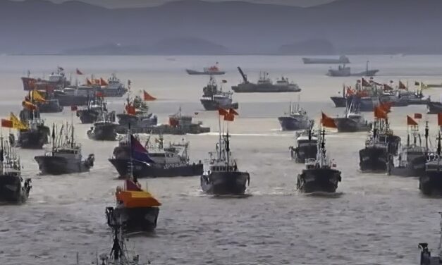 Pesca ilegal: «barcos fantasma» navegaron 600 mil horas con el sistema satelital apagado frente al mar Argentino