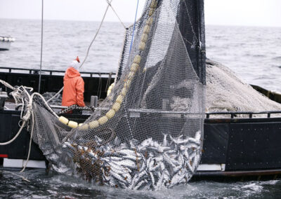 La pesca consolida su crecimiento interanual con un incremento de 59,2%