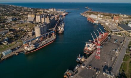 Puerto Quequén realiza 17 embarques en una semana