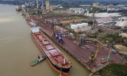 Puerto San Nicolás recibe por primera vez en 11 años un buque panamax con 37.000 toneladas de mercadería