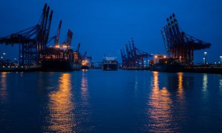 La infraestructura de los puertos es fundamental para mantener la logística marítima