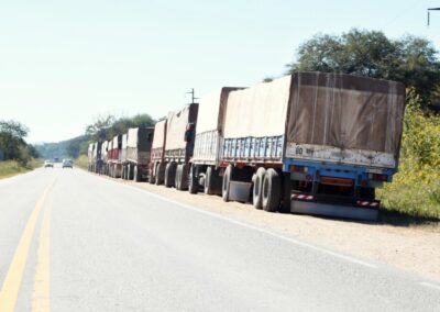 Transportaban 296 toneladas de soja ilegalmente en 10 camiones