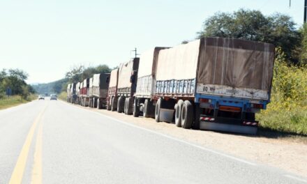 Transportaban 296 toneladas de soja ilegalmente en 10 camiones