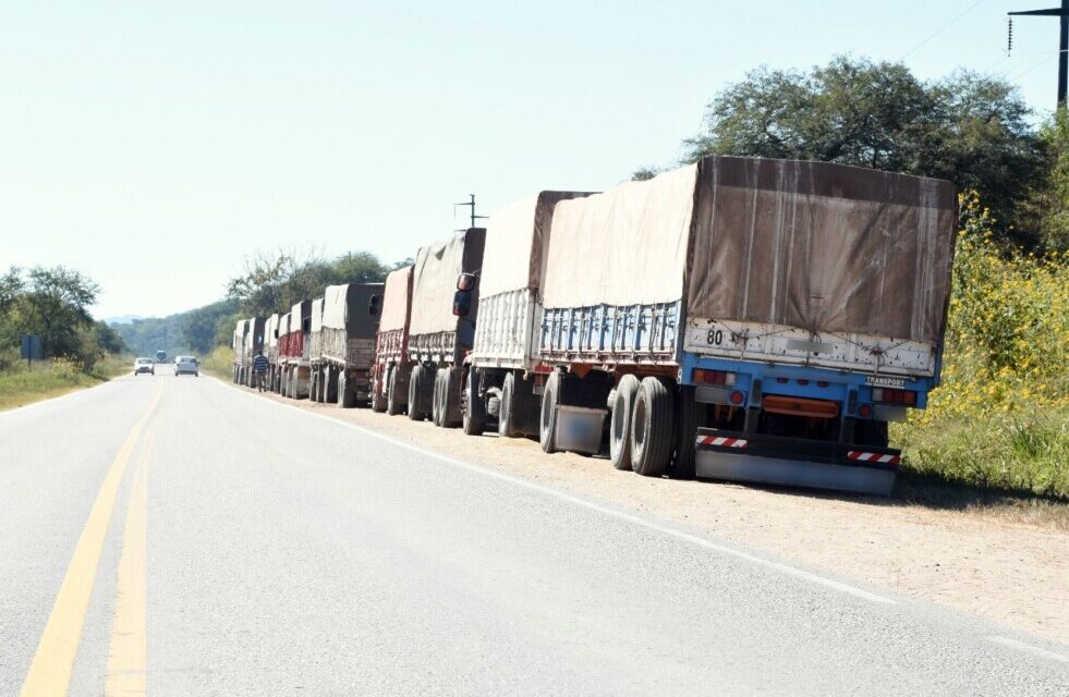 Transportaban 296 toneladas de soja ilegalmente en 10 camiones