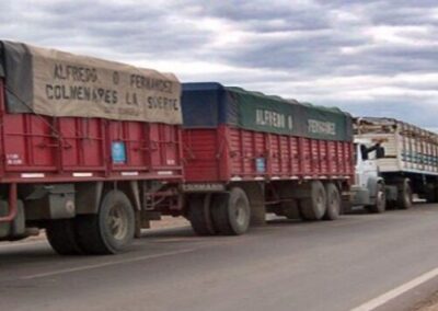 El Ministerio de Transporte acordó la tarifa de referencia en 20% para los servicios de transporte automotor de cargas de cereales, oleaginosas y derivados