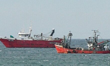 Tres barcos en cuarentena en la rada de Puerto Madryn