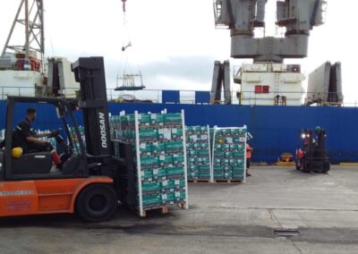 Argentina exportó frutas frescas cítricas a Rusia desde puertos bonaerenses