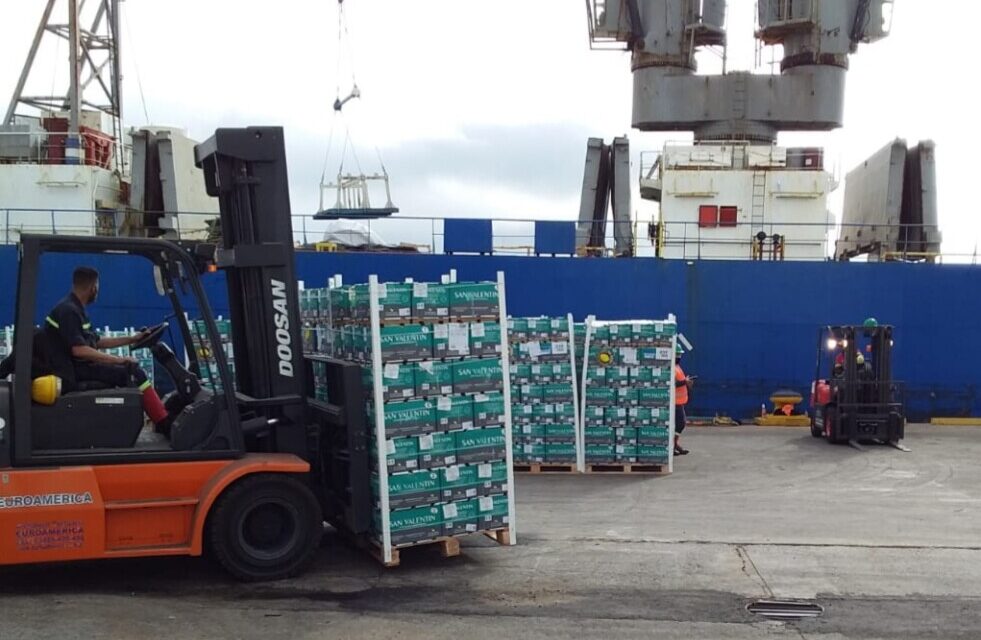 Argentina exportó frutas frescas cítricas a Rusia desde puertos bonaerenses