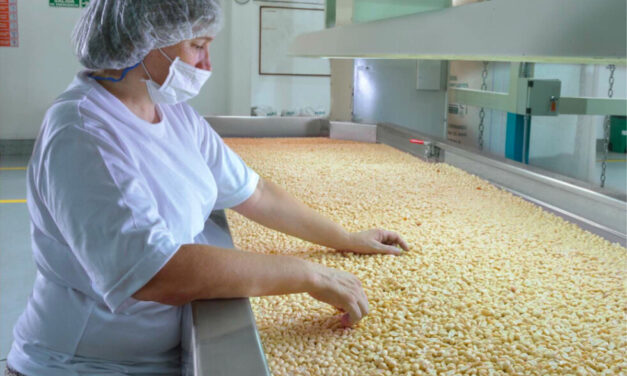 El Gobierno Nacional redujo los derechos de exportación de nuevos productos de las economías regionales