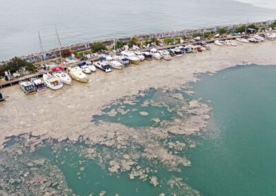 Un manto de moco marino amenaza el ecosistema del mar de Mármara en Turquía
