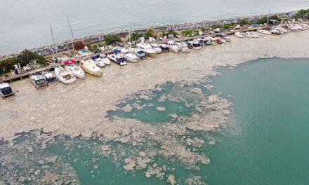 Un manto de moco marino amenaza el ecosistema del mar de Mármara en Turquía