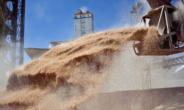 Agroexportadoras liquidaron más de US$ 16.659 millones en el primer semestre