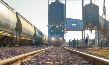 Trenes Argentinos Cargas: inauguran un nuevo desvío ferroviario en Chaco