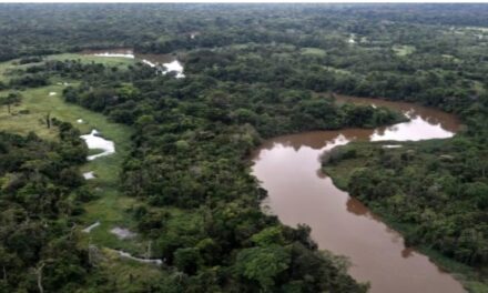 Bolivia anunció obras de la nueva hidrovía hacia el Atlántico por la cuenca amazónica
