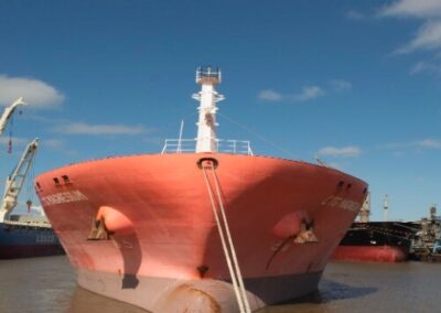 Puerto La Plata: el movimiento de carga, durante el primer semestre del año, supera los dos millones de toneladas