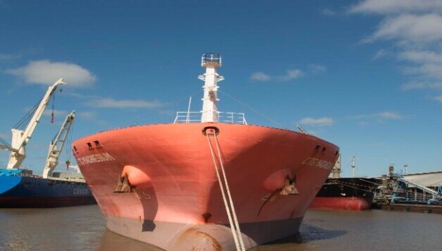 Puerto La Plata: el movimiento de carga, durante el primer semestre del año, supera los dos millones de toneladas