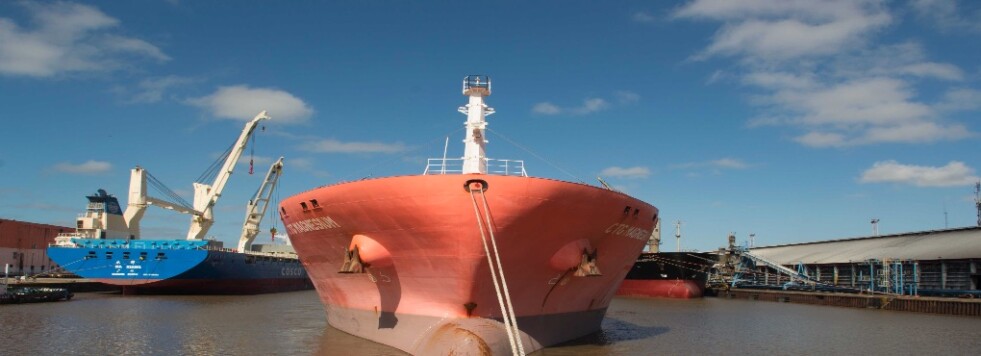 Puerto La Plata: el movimiento de carga, durante el primer semestre del año, supera los dos millones de toneladas