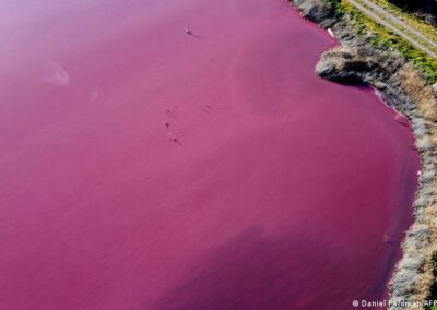 Una laguna se tiñó de rosa en Chubut por desechos industriales