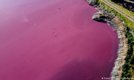 Una laguna se tiñó de rosa en Chubut por desechos industriales