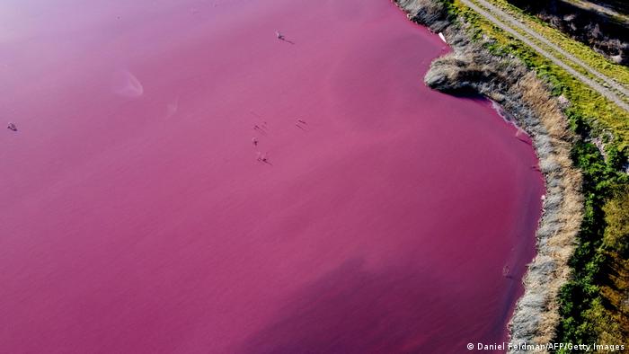 Una laguna se tiñó de rosa en Chubut por desechos industriales