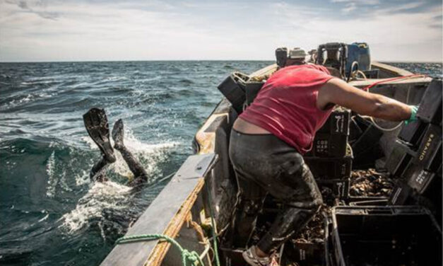 Madryn: Pescadores artesanales reclaman por los cupos de vieira