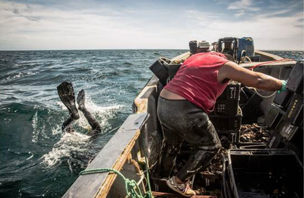 Madryn: Pescadores artesanales reclaman por los cupos de vieira