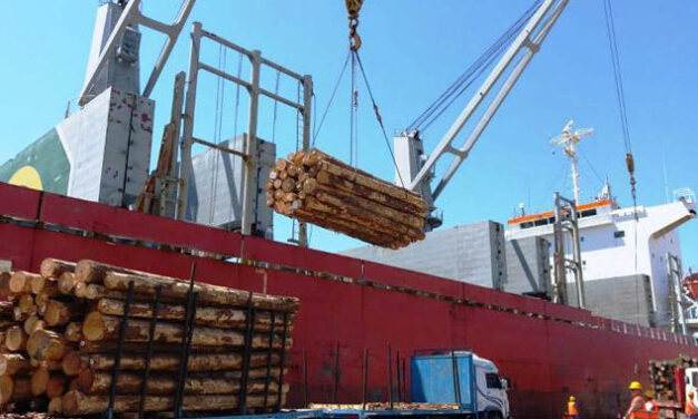 Puertos entrerrianos con tiempos de carga récord