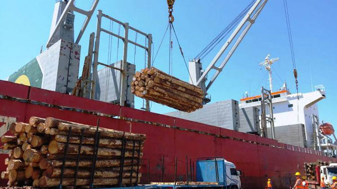 Puertos entrerrianos con tiempos de carga récord