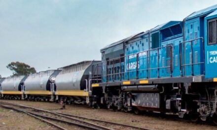 Nuevo récord de Trenes Carga: ¿Por qué hubo un incremento del 62% en las toneladas transportadas respecto al 2019 y un 28% con respecto al 2020?