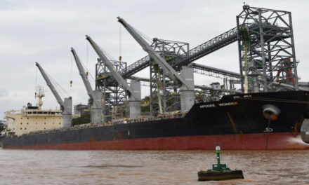 Los barcos podrían tener que salir del Paraná con un 40 por ciento menos de carga