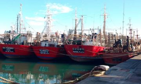 Solicitan la apertura de la temporada de pesca del calamar en el 44ºS