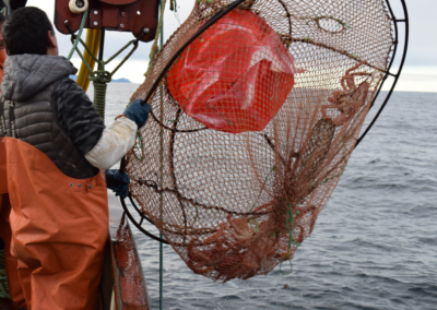 Finalizó el primer proyecto de asesoramiento sobre centolla entre el INIDEP y el IFOP de Chile