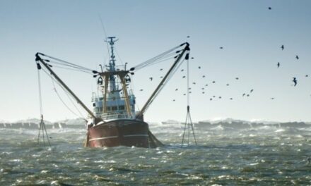 Tierra de Fuego: “Encontramos en la pesca de altura una oportunidad inmejorable para el desarrollo de la provincia”