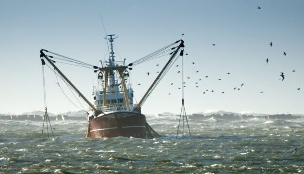 Tierra de Fuego: “Encontramos en la pesca de altura una oportunidad inmejorable para el desarrollo de la provincia”