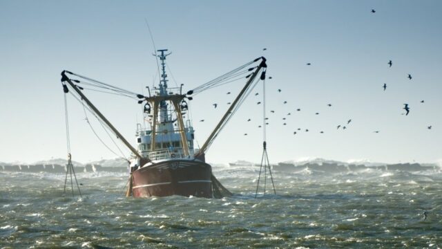 La desregulación del Régimen Federal de Pesca afectará fuertemente a la industria naval