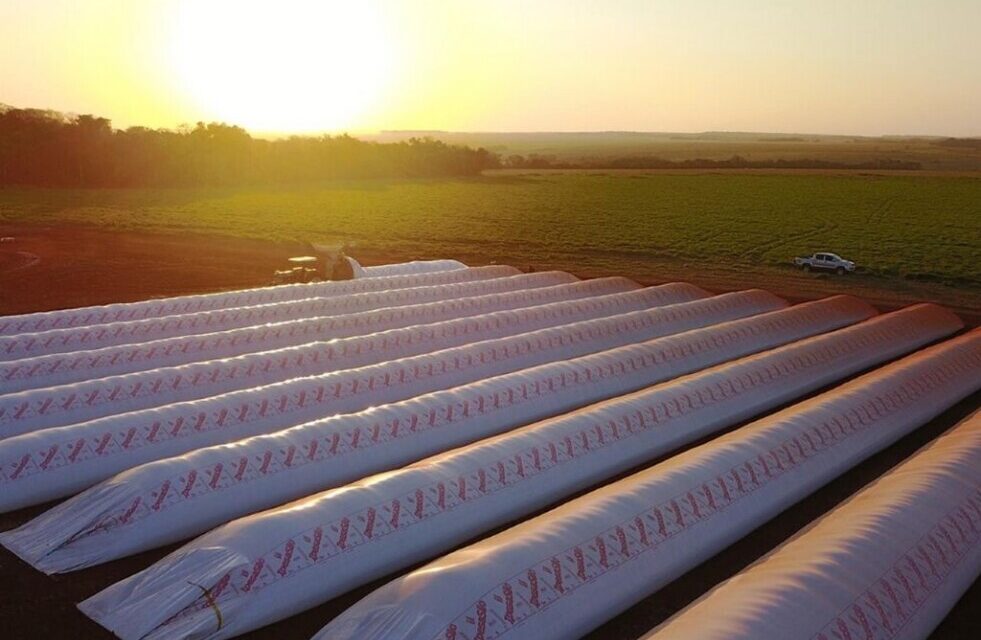 Argentina exportará tecnología de almacenamiento de granos a Pakistán
