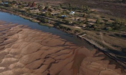 ¿Cómo enfrentar la bajante histórica del río Paraná?