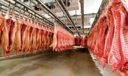 Kulfas aseguró que aún “no está definido” cómo continuará el esquema de exportaciones de carne
