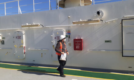 Continúan las inspecciones sanitarias en buques de puertos del norte bonaerense
