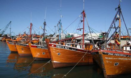 La actividad pesquera creció 108,7% en junio