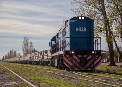 Con diversificación y nuevos ramales crece el transporte ferroviario