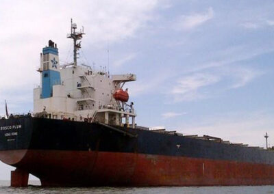 El granelero Rosco Plum obstruye la navegación en el kilómetro 47 del canal Martín García