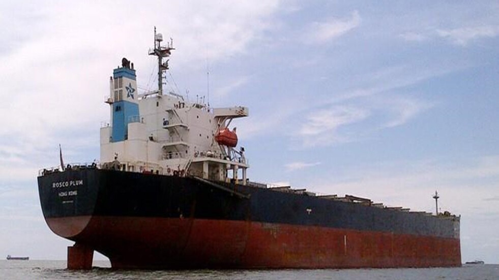 El granelero Rosco Plum obstruye la navegación en el kilómetro 47 del canal Martín García