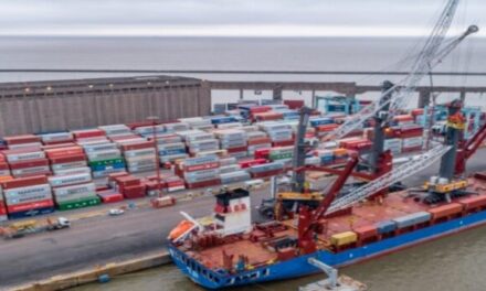 APM Terminals Buenos Aires incorporó una grúa de última generación para sus operaciones portuarias