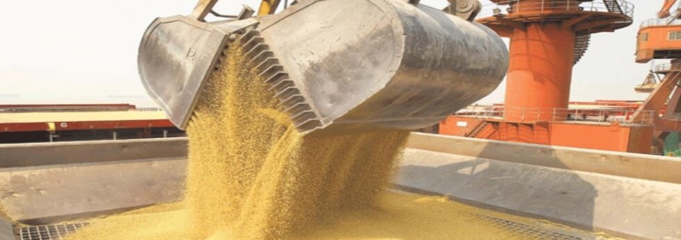El agro genera 6 de cada 10 dólares que exporta la Argentina